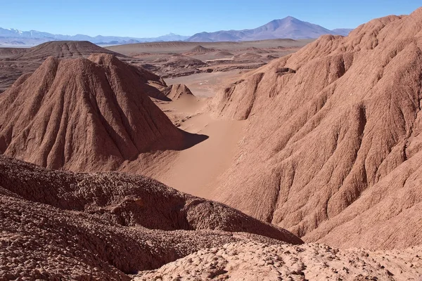 Landschap Nabij Tolar Grande Dorp Provincie Salta Het Noordwesten Van — Stockfoto