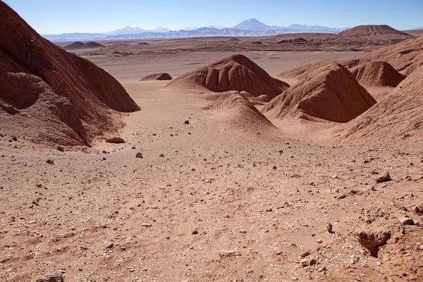 Paisaje Cerca Del Pueblo Tolar Grande Provincia Salta Noroeste Argentina —  Fotos de Stock