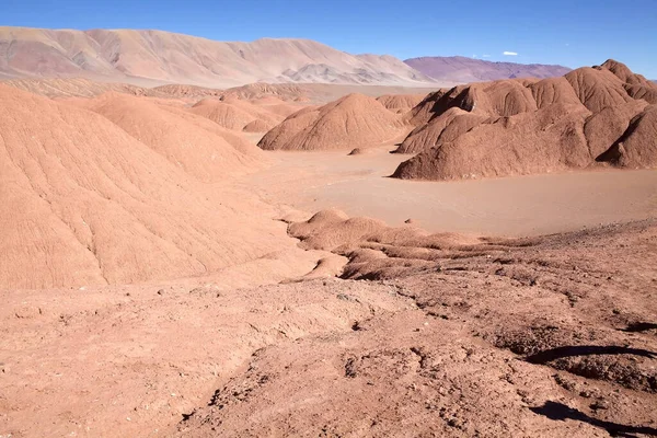 Paisaje Arenal Cerca Del Pueblo Tolar Grande Provincia Salta Noroeste —  Fotos de Stock