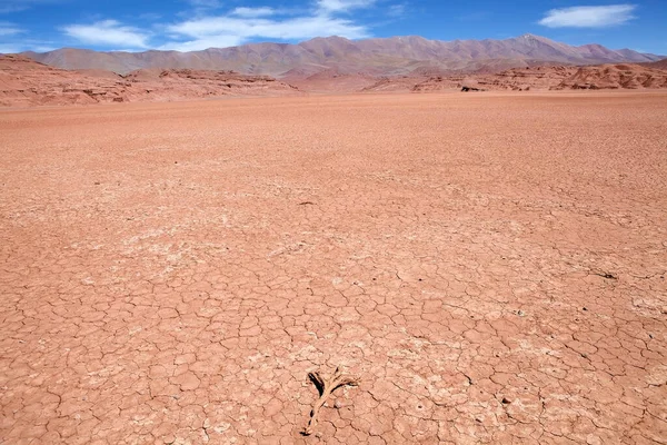 Desierto Del Diablo Djävulens Öken Landskap Puna Atacama Argentina Det — Stockfoto