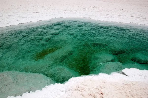 Salar Pocitos Puna Atacama Argentina Tiene Largo Ancho Está Cerca — Foto de Stock