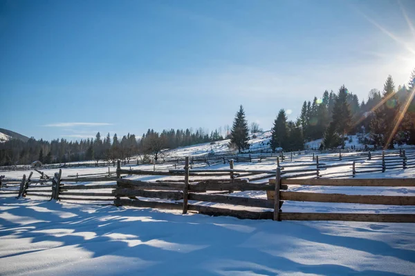 fence in winter forest