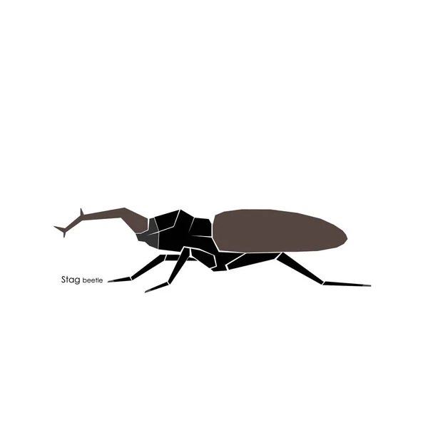 Escarabajo ciervo, marrón . — Vector de stock