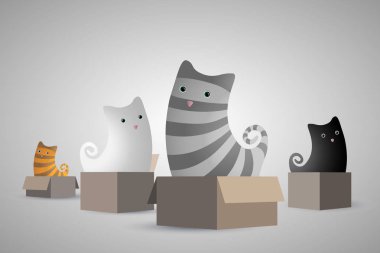 Kutuları içinde cats.