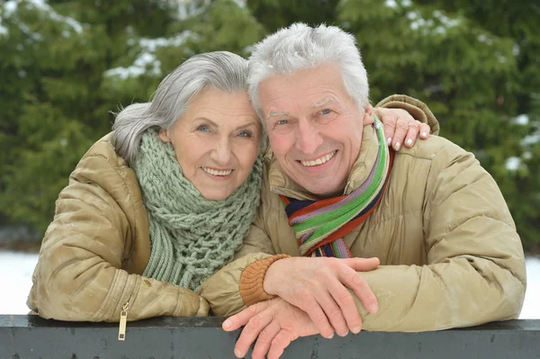 Seniorenpaar in park — Stockfoto