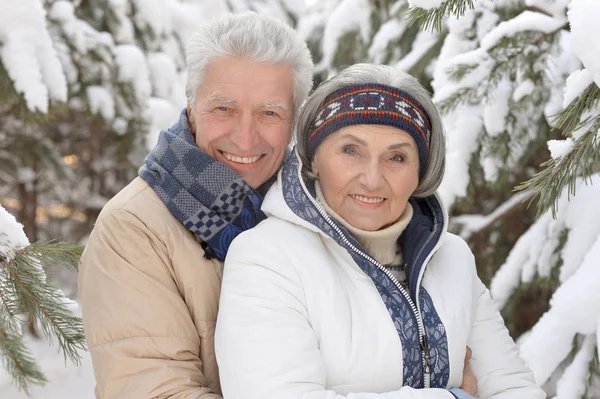 Seniorenpaar in park — Stockfoto