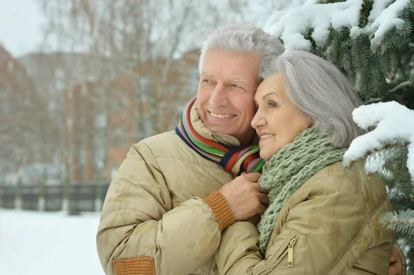 Seniorenpaar in park — Stockfoto