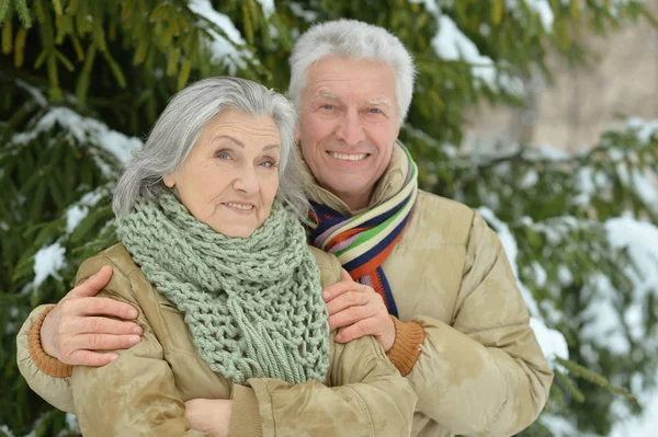 Seniorenpaar in park — Stockfoto