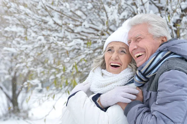 Pareja mayor en el parque de invierno — Foto de Stock