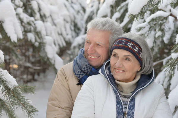 Para starsza w parku — Zdjęcie stockowe