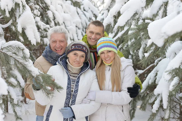 Famille dans la forêt d'hiver — Photo