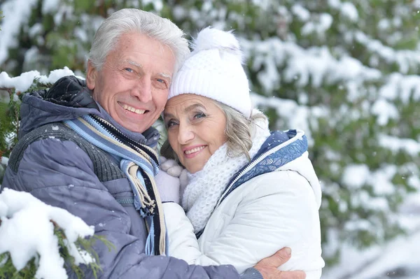 Casal sênior no parque de inverno — Fotografia de Stock