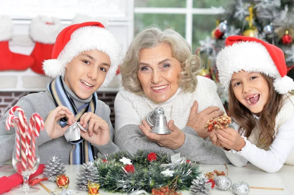 Porträt der Großmutter mit Enkeln — Stockfoto