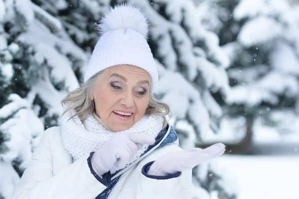 Senior Kvinna i Vinterparken — Stockfoto