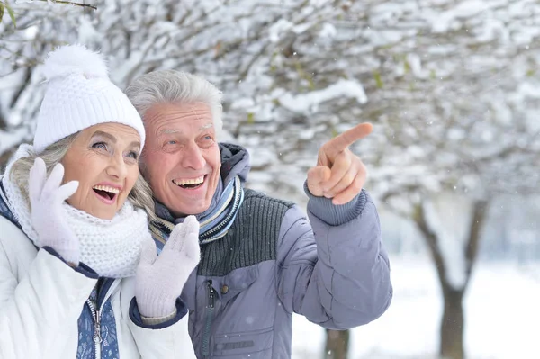 Seniorpaar in winterpark — Stockfoto