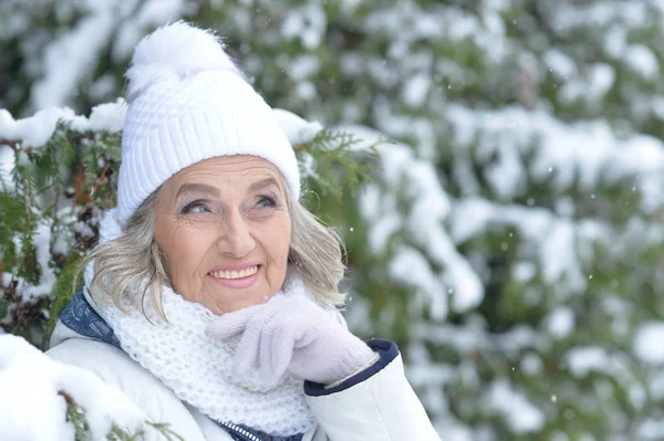 Téli park idősebb nő — Stock Fotó