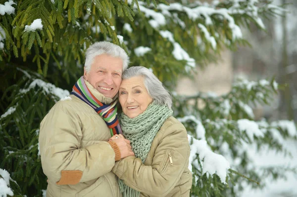 Seniorenpaar in park — Stockfoto