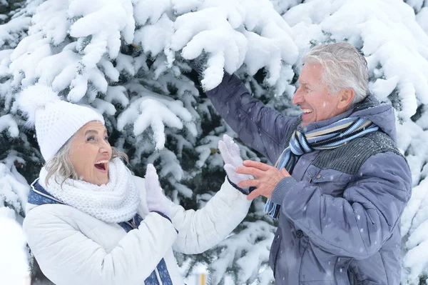 Seniorenpaar im Winterpark — Stockfoto