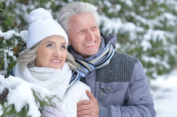 Para seniorów w zimowym parku — Zdjęcie stockowe