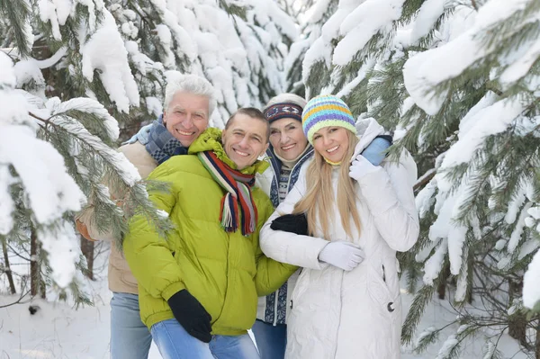 Familj i vinterskogen — Stockfoto
