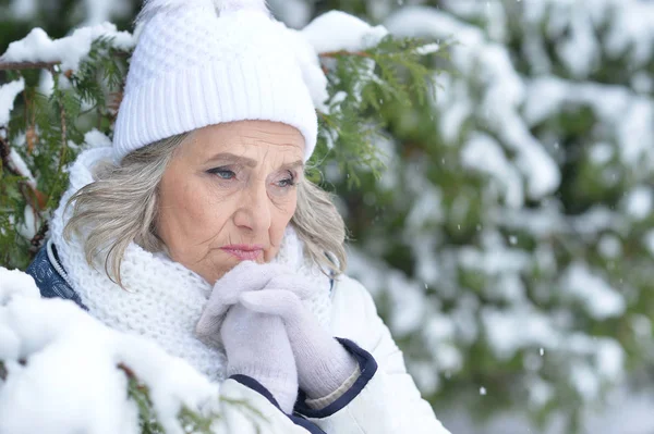 Mujer mayor en el parque de invierno —  Fotos de Stock