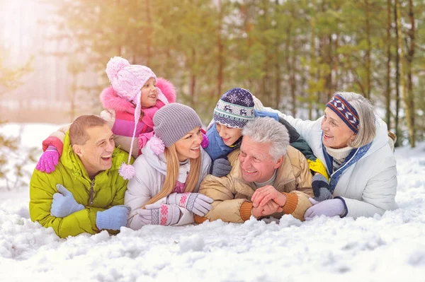 Família no parque de inverno — Fotografia de Stock