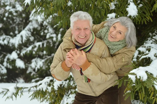 Seniorenpaar in park — Stockfoto