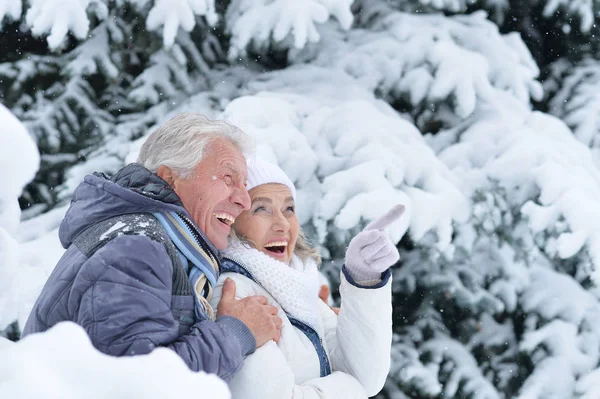Старша пара в зимовому парку — стокове фото