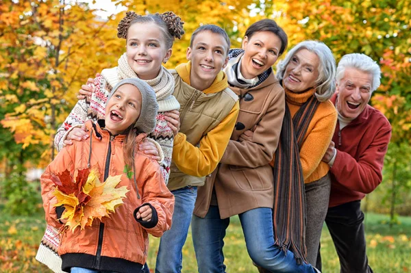 Büyük mutlu bir aile — Stok fotoğraf