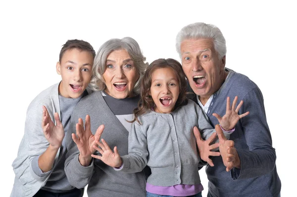 Boldog nagyszülők a unokák — Stock Fotó