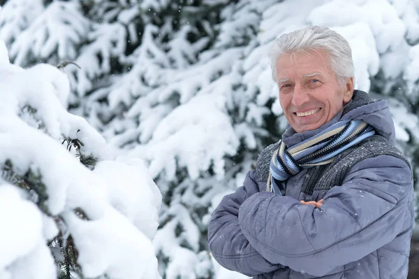 Mature man in good mood — Stock Photo, Image