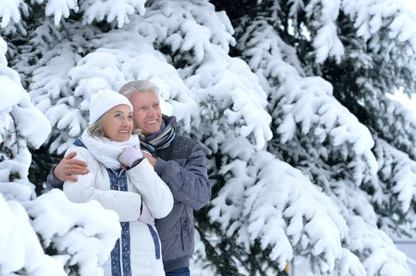 Äldre par ha kul utomhus — Stockfoto