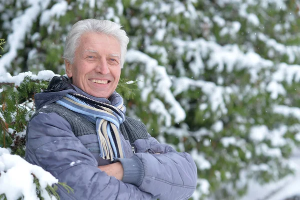 Mature man in good mood — Stock Photo, Image