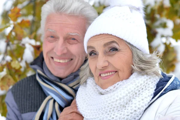 Happy mature couple — Stock Photo, Image