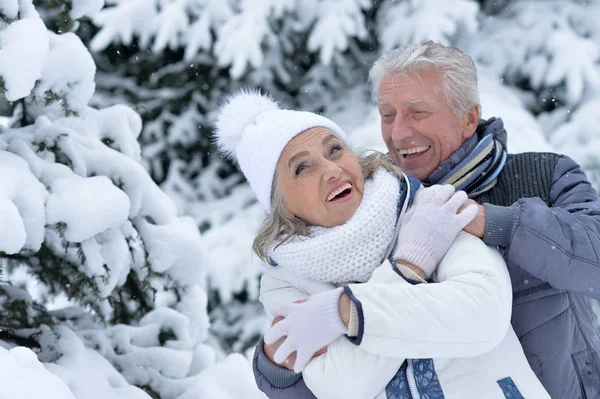 Ältere Paare haben Spaß im Freien — Stockfoto
