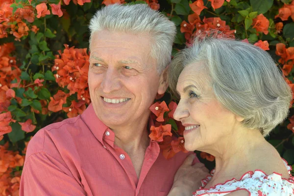 Pareja madura feliz —  Fotos de Stock