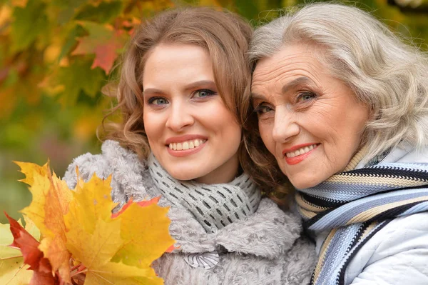 Twee mooie vrouwen — Stockfoto