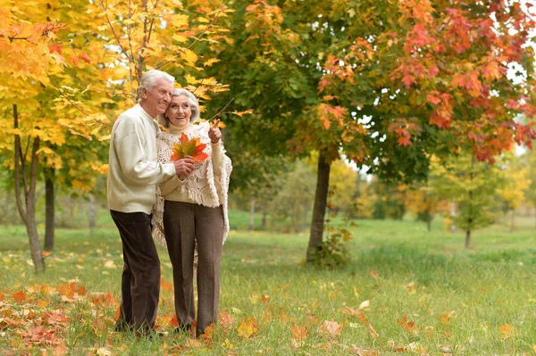 Gelukkig volwassen stel — Stockfoto