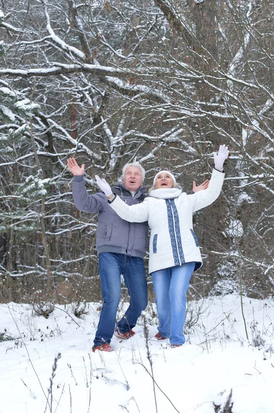 Happy mature couple have fun — Stock Photo, Image