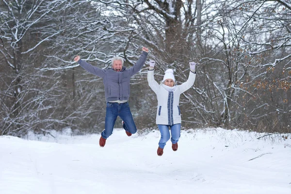 Nöjd äldre par ha kul — Stockfoto