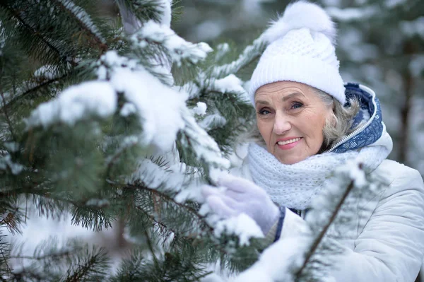 Schöne Seniorin — Stockfoto