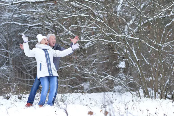 Nöjd äldre par ha kul — Stockfoto