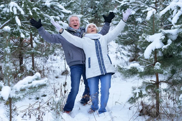 Nöjd äldre par ha kul — Stockfoto