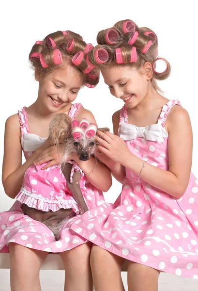 Two twins with their dog — Stock Photo, Image