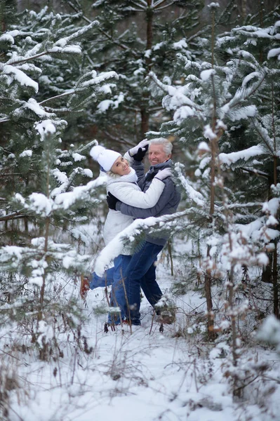 Nöjd äldre par ha kul — Stockfoto