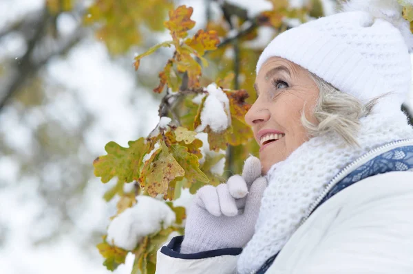 Schöne Seniorin — Stockfoto