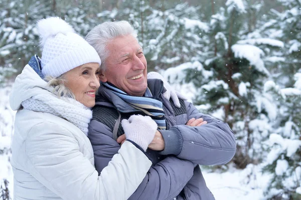 Oudere paar gelukkig samen — Stockfoto