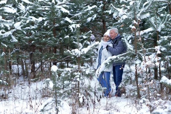 Šťastný starší pár bavit — Stock fotografie