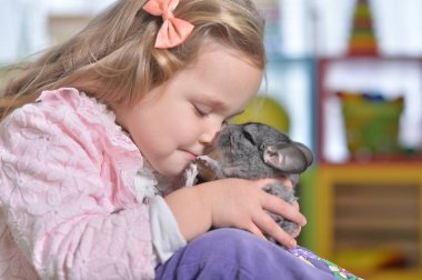 Girl playing with chinchilla clipart