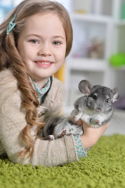 Chica jugando con chinchilla — Foto de Stock